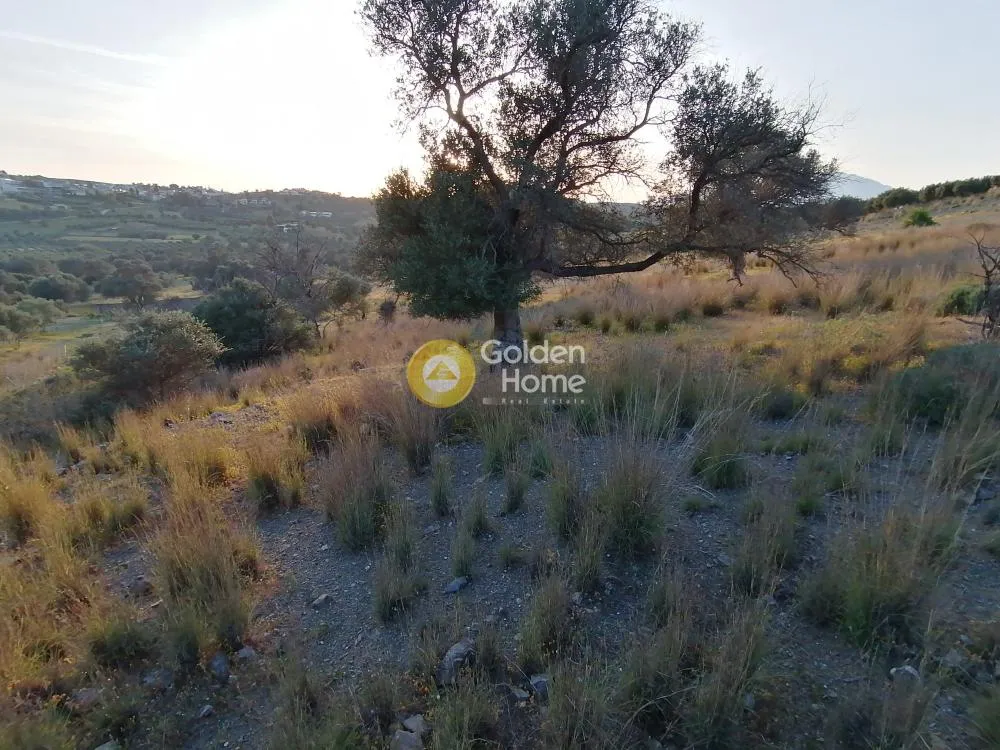 Aed - Agricultural Plot with Panoramic Views in Phaistos