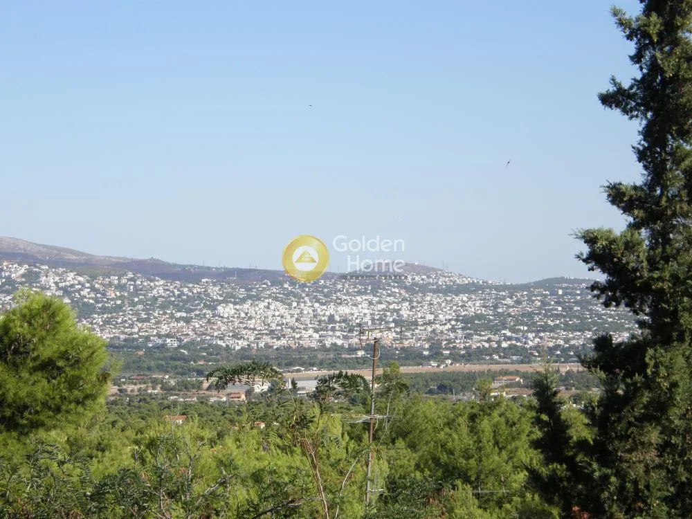Independent Villa with Garden in Thriamvos