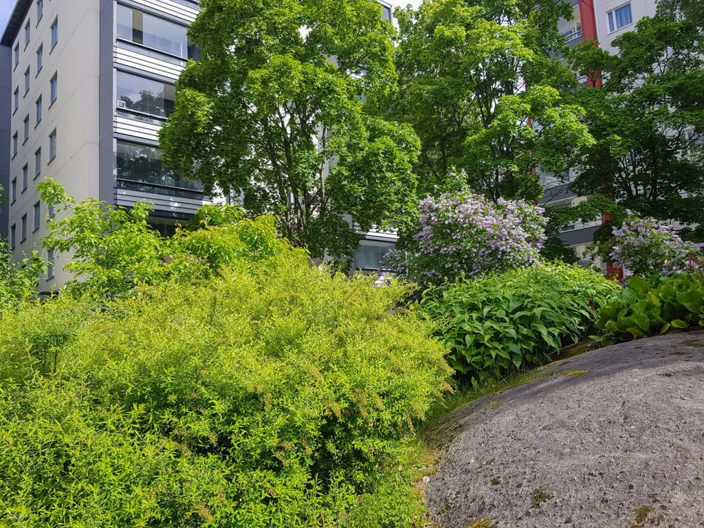 garden