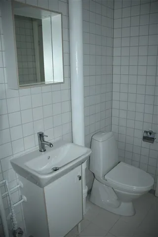 Vannitoad - Renovated Apartment with Balcony in Denmark