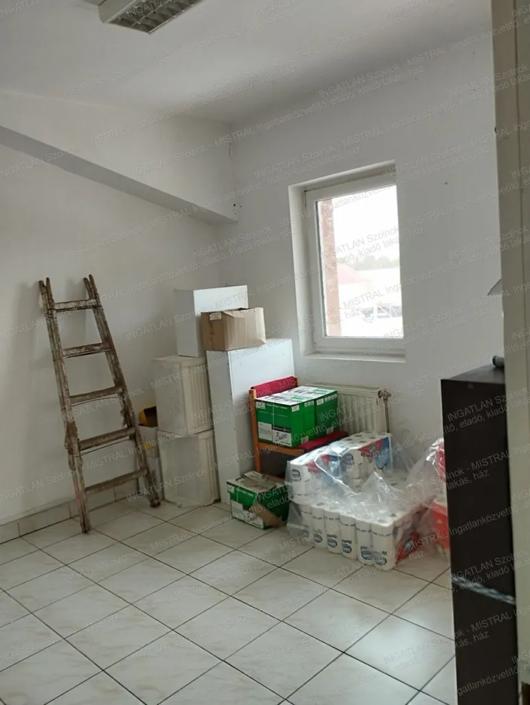 Rooms - Office Space with Garden in Southern District, Szolnok