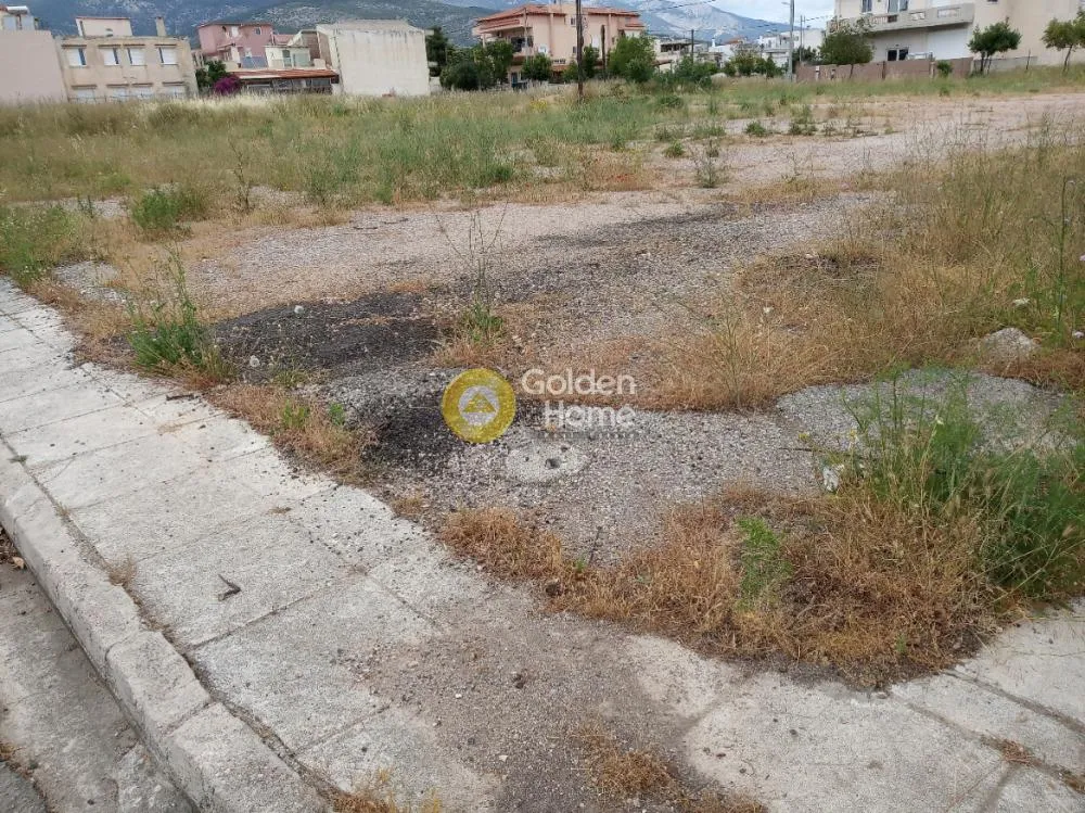 Jardin - Buildable Plot with Unrestricted View in Ano Liosia