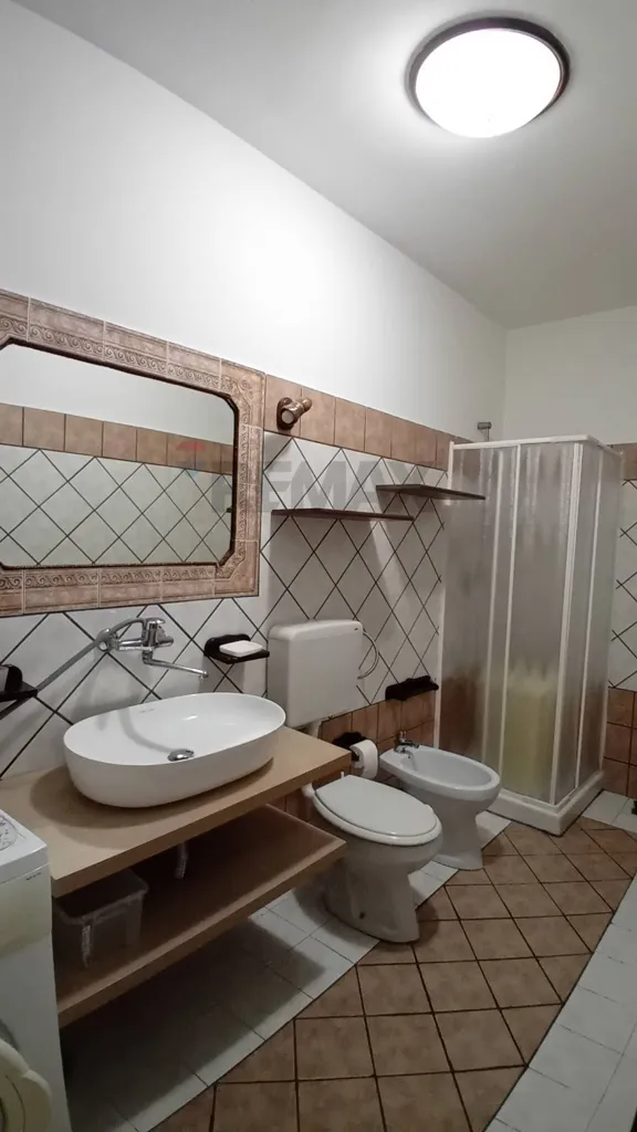 Bathrooms - Two-Bedroom Apartment with Terrace in Bronte
