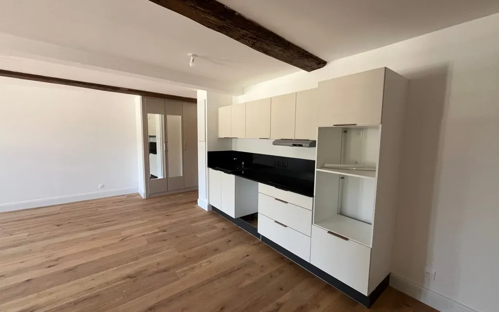 Kitchen - Renovated Apartment with Balcony in Vienne