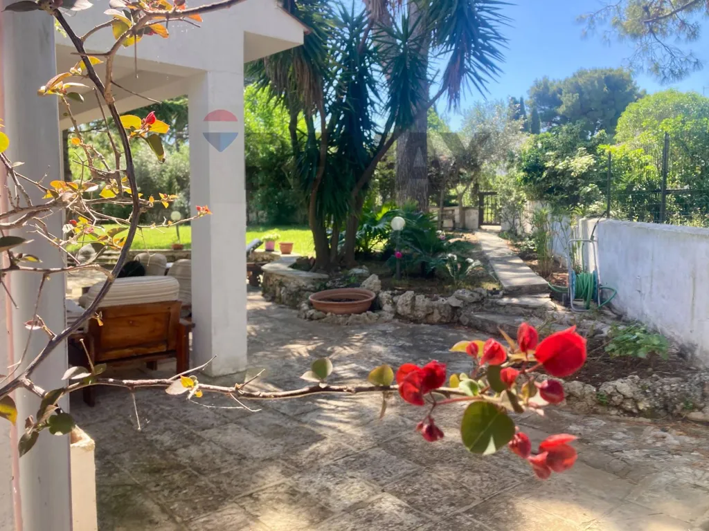 terrace_patio