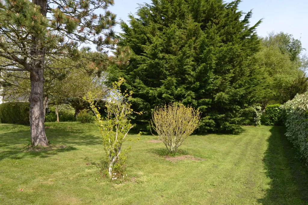 Aed - Breton Stone House with Garden in Plougasnou