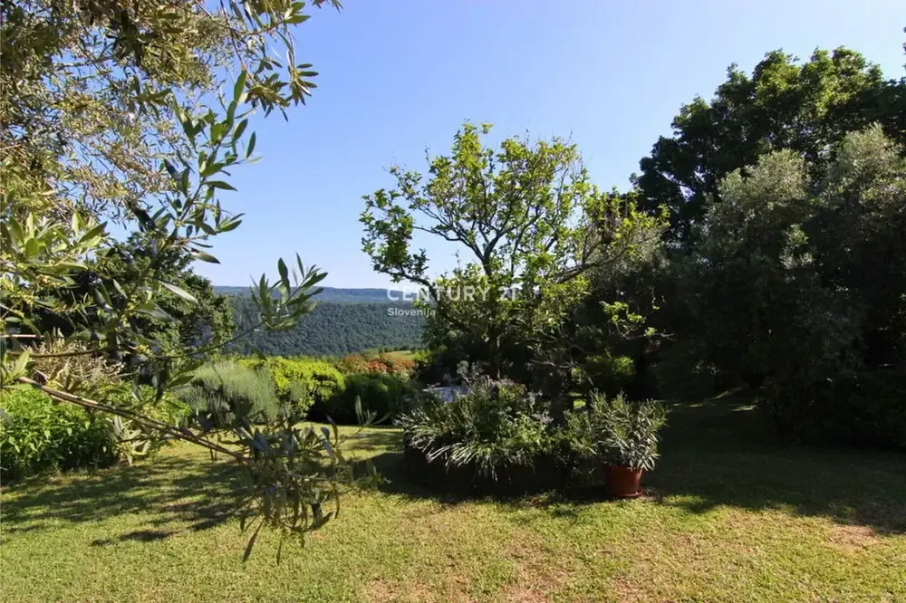 Giardino - Stone Villa with Pool in Pomjan, Koper