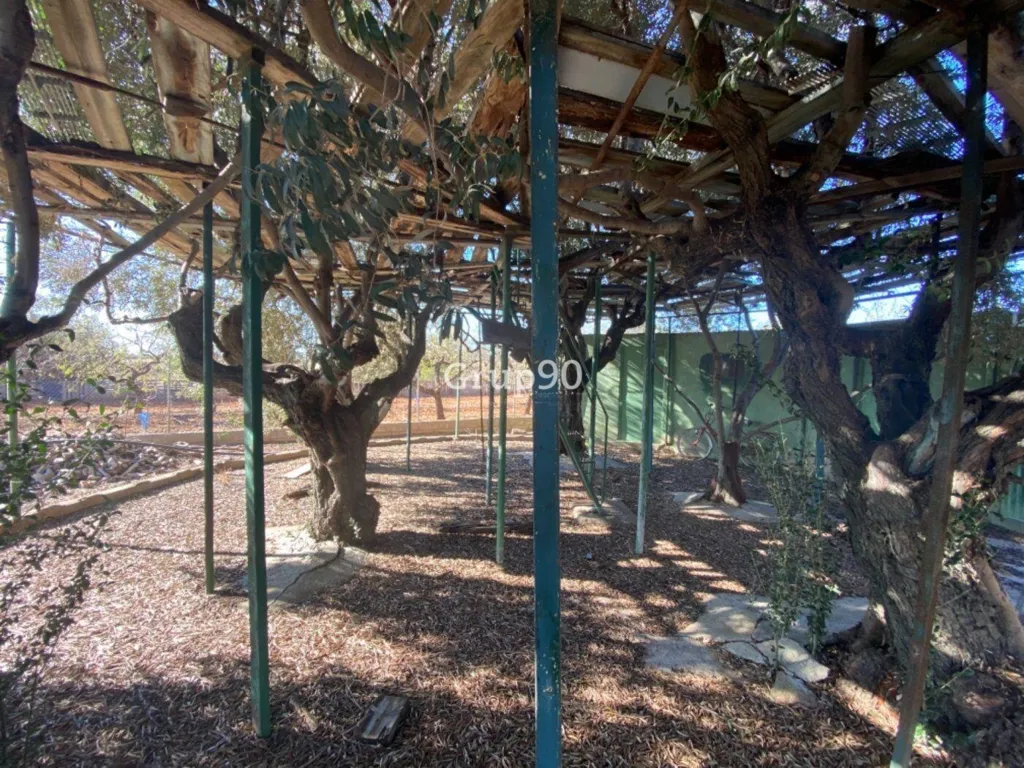 Jardin - Pig Farm with Cultivation in Cabanes