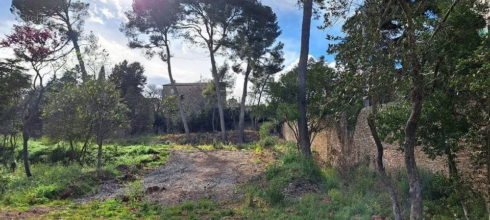 Aed - Buildable Plot with Garden in Cournonsec