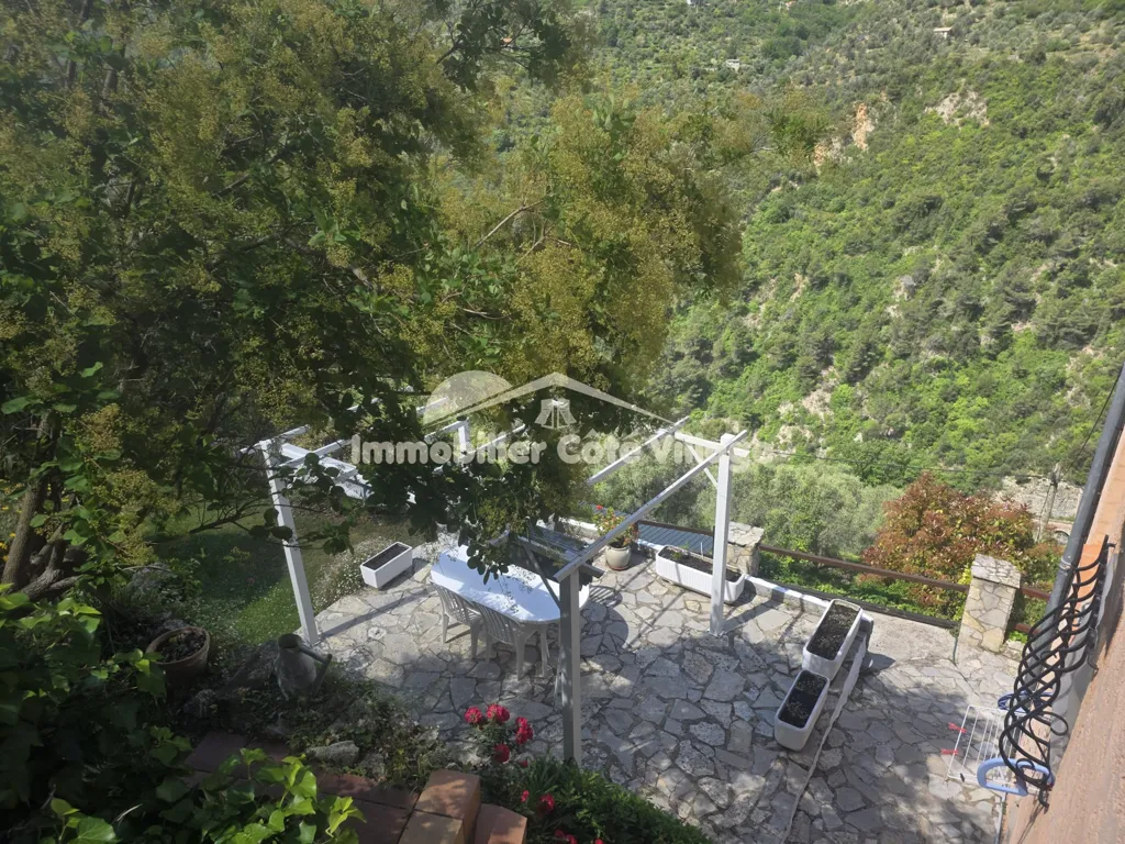 Terrasse - Villa avec Vue Montagne à Breil-sur-Roya