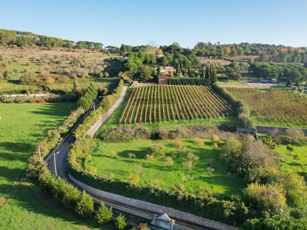 Vue aérienne - Farm with Pool and Vineyard in Azeitao