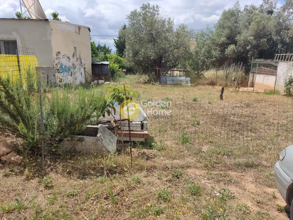 Aed - Buildable Plot with Sea View in Agrilea