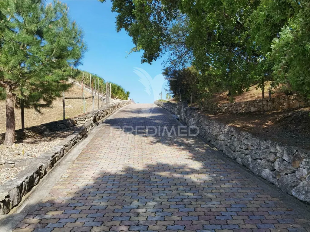 Extérieur - Quinta with Olive Grove in Torre do Bispo