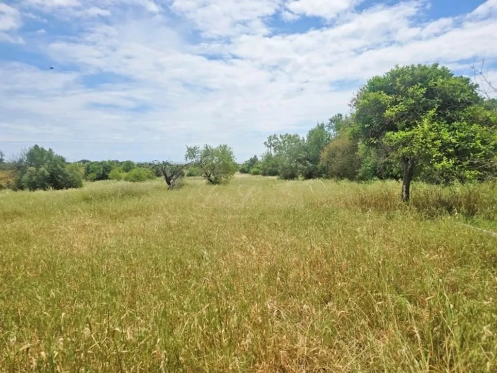 Jardin - Cottage with Rehabilitation Potential near Tavira