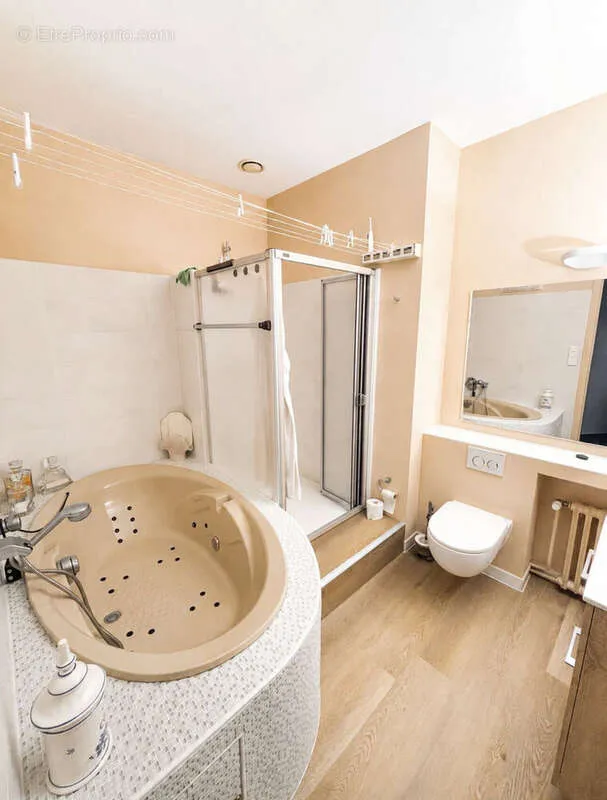 Vannitoad - Mixed-Use Property in Gueugnon