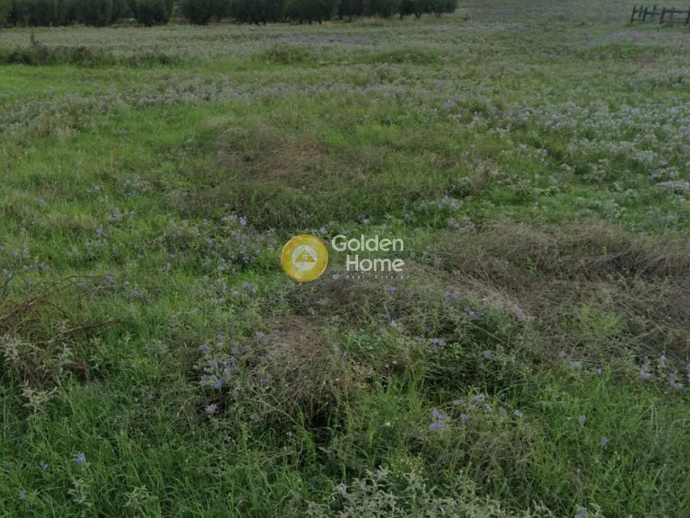Garden - Agricultural Plot with Unrestricted View in Thermi