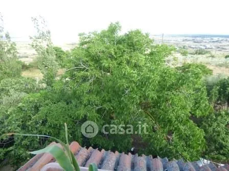 Jardin - Independent Villa with Garden in Macomer