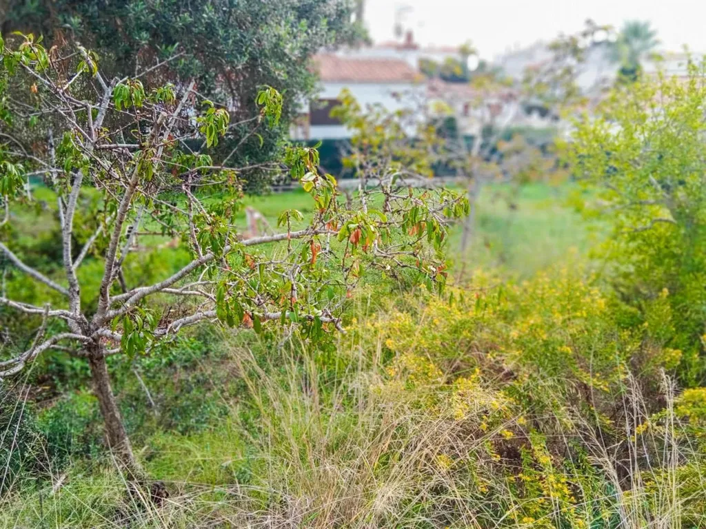 Jardin - Buildable Plot with Sea View in Cunit