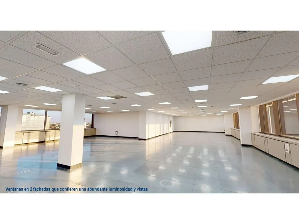 Toad - Modern Office in Chamartín, Madrid