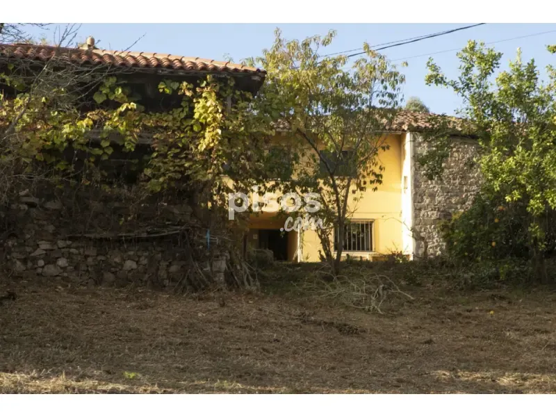 Exterior - Traditional Asturian Rural Complex in Buslaz