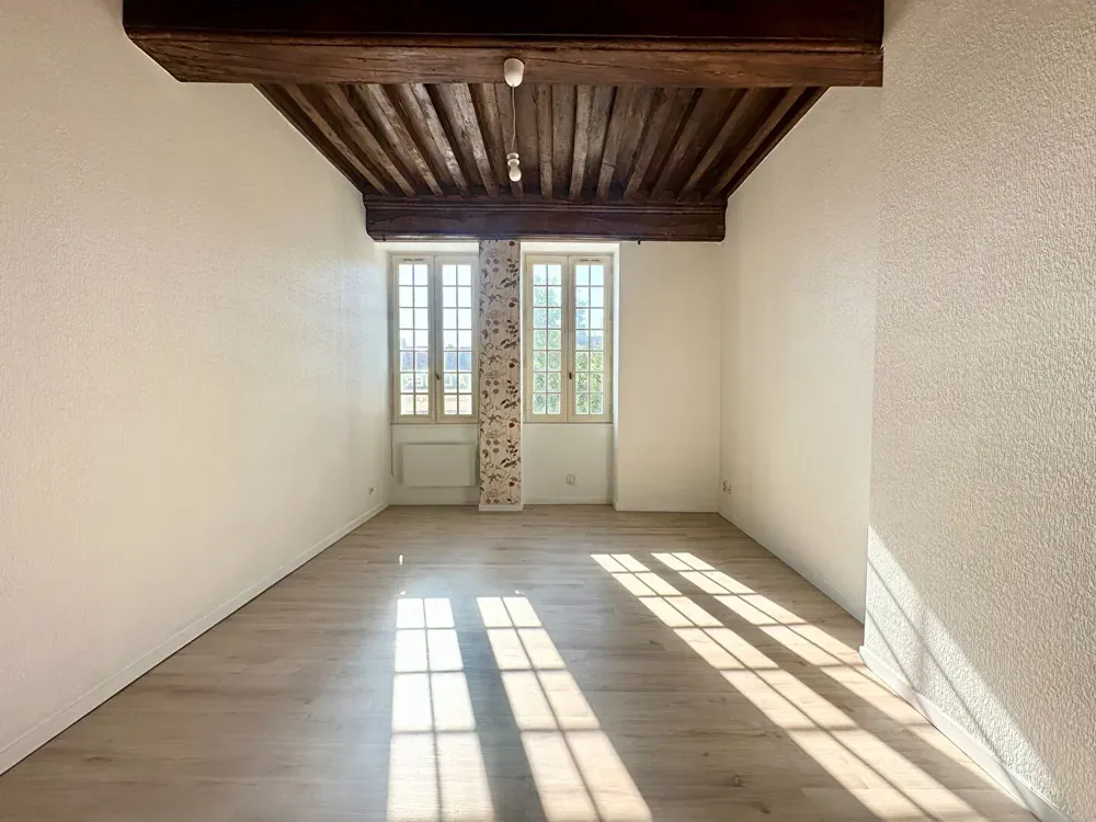 Pièces - Studio Rénové avec Plafond à la Française à Chenôve