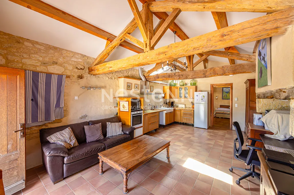 Soggiorno - Exceptional Domain with Pyrenees View in Brouilh-Monbert