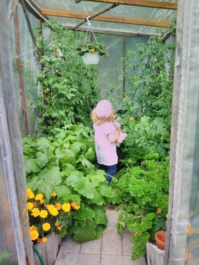 garden