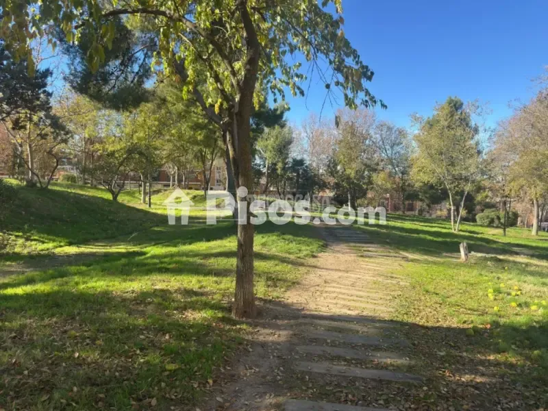 Bright Apartment with Terraces in Nuevo Aranjuez