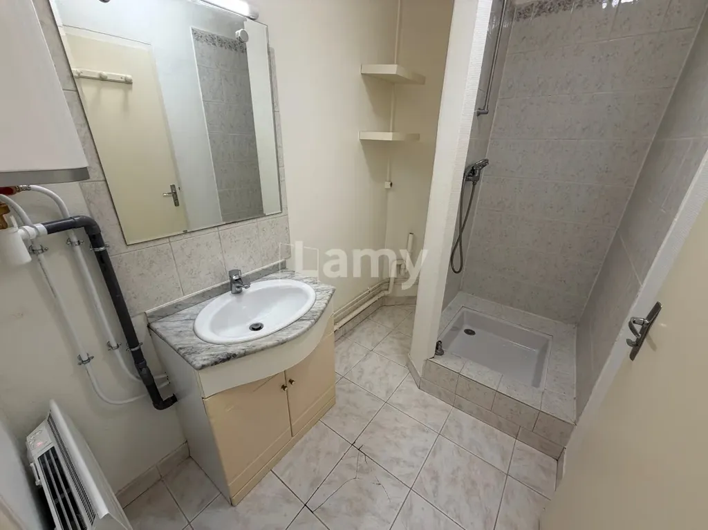 Salles de bain - Appartement Charmant avec Parquet au Sud dans Quartier Historique