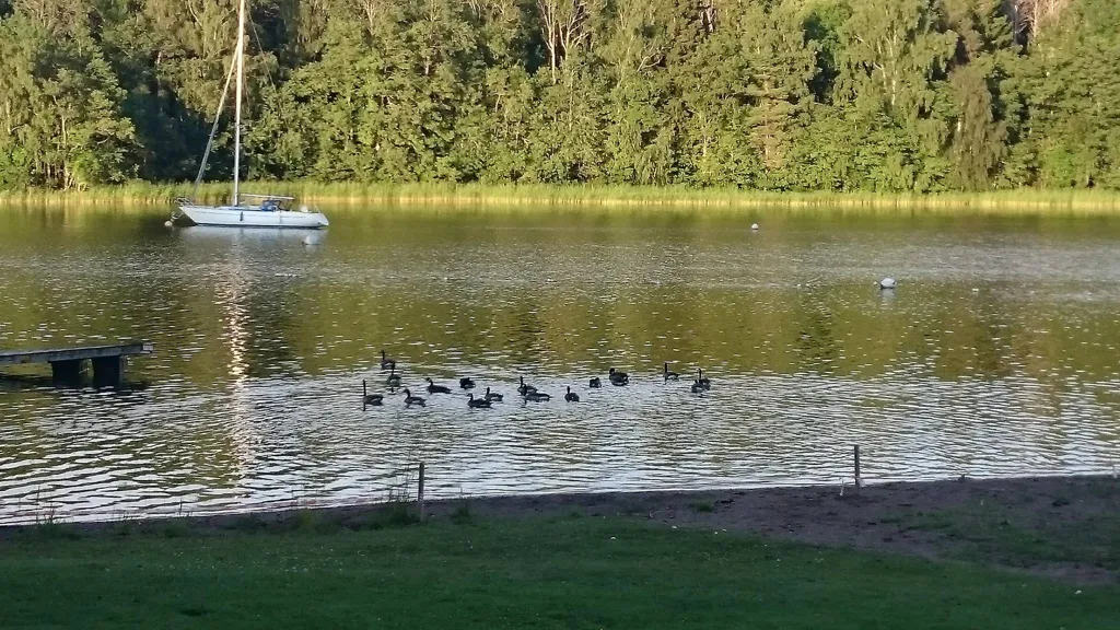 Maja asukohas Norrtälje kommun