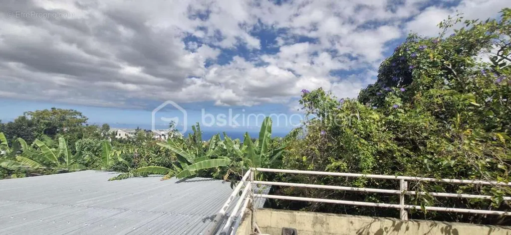 Terrasse - Maison SATEC à Rénover avec Deux Parcelles au Tampon
