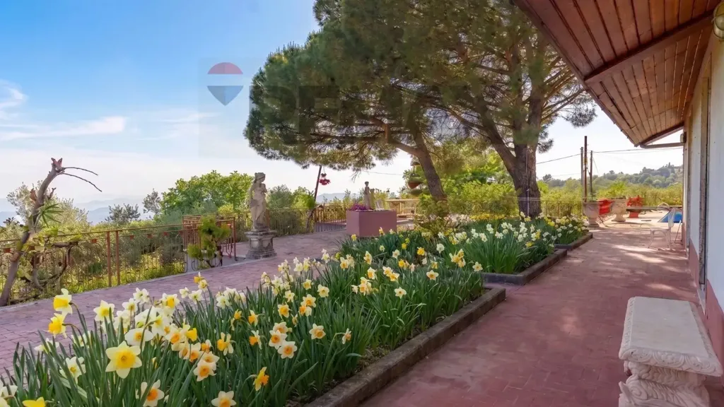 Jardin - Villa with Panoramic Pool in Biancavilla