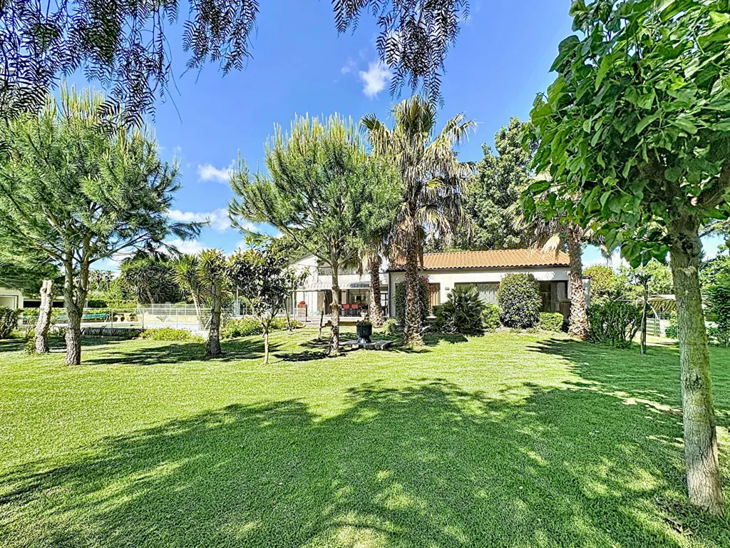 Garden - Architectural Villa with Pool in Perpignan Area