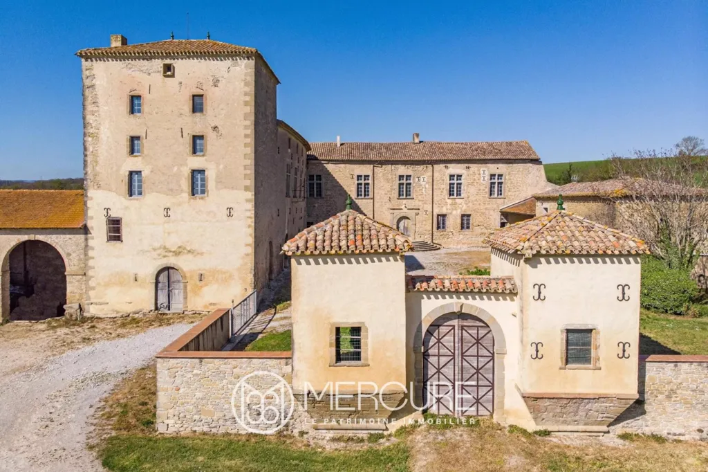 Vista aerea - Restored Medieval Château with Pyrenees View