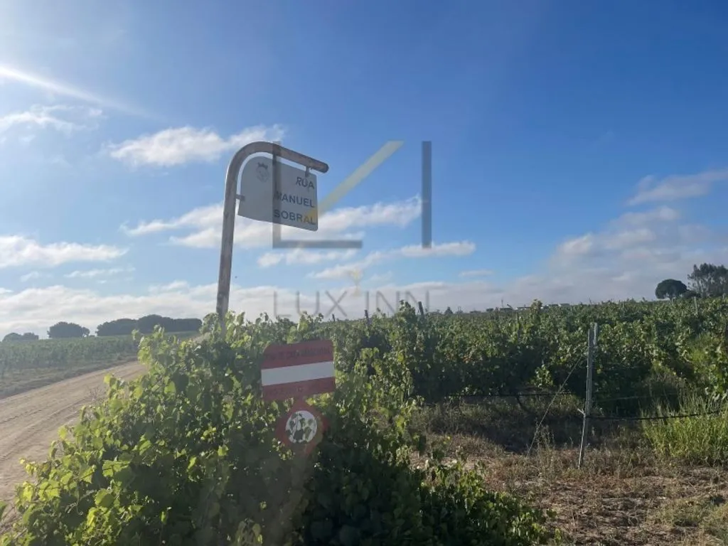 Garden - Vineyard with Production in Palmela