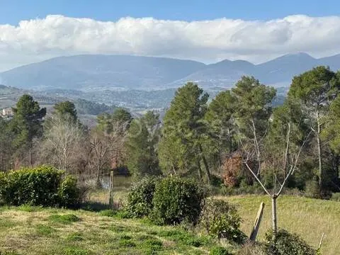 Jardin - Rustic Podere with Olive Grove near Spoleto