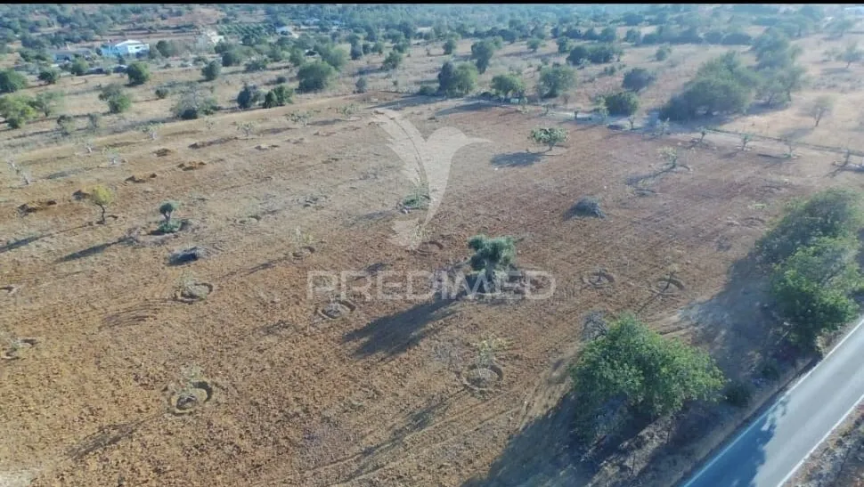 Vue aérienne - Agricultural Land with Fruit Trees in Albufeira