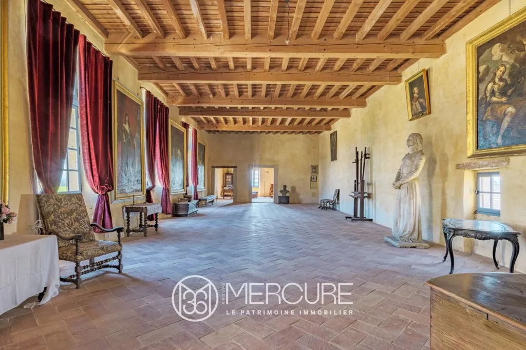 Soggiorno - Restored Medieval Château with Pyrenees View