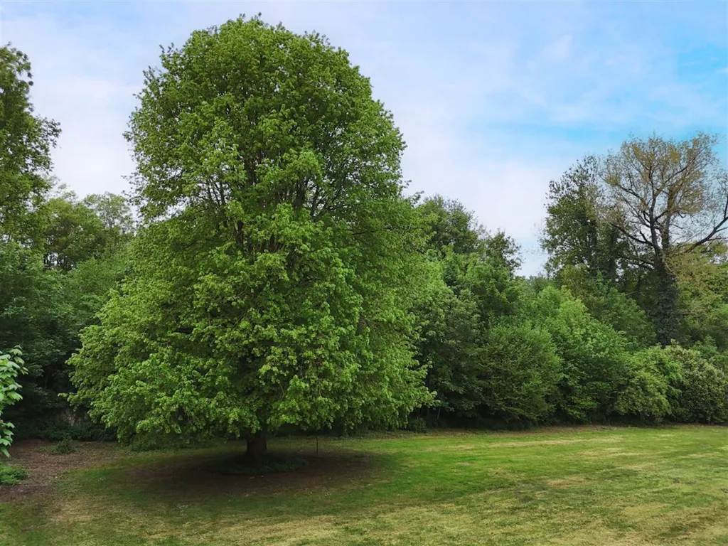 Aed - Historic Manor with Development Potential in Jodoigne