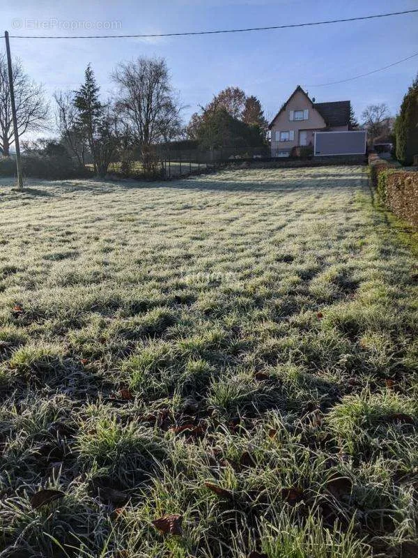 Jardin - Terrain à Bâtir de 10 ares à Lobsann