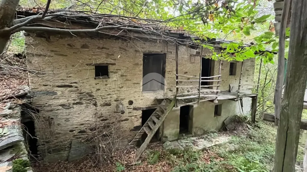 Extérieur - Rustic Property with Forest Land in Bagnolo Piemonte