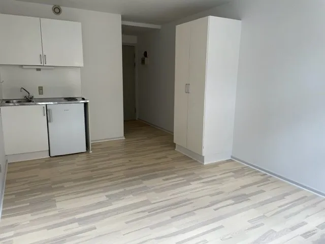 Cuisine - 1-Bedroom Apartment in Svendborg Centre