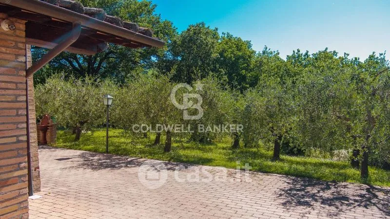 Terrazza - Rustic Umbrian Casale with Two Units in Perugia