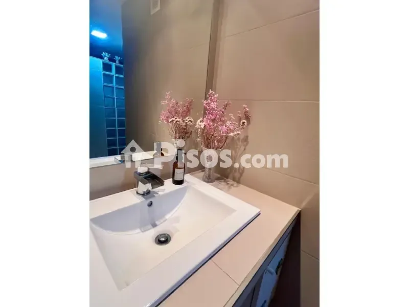 Vannitoad - Apartment with Two Terraces in Palencia
