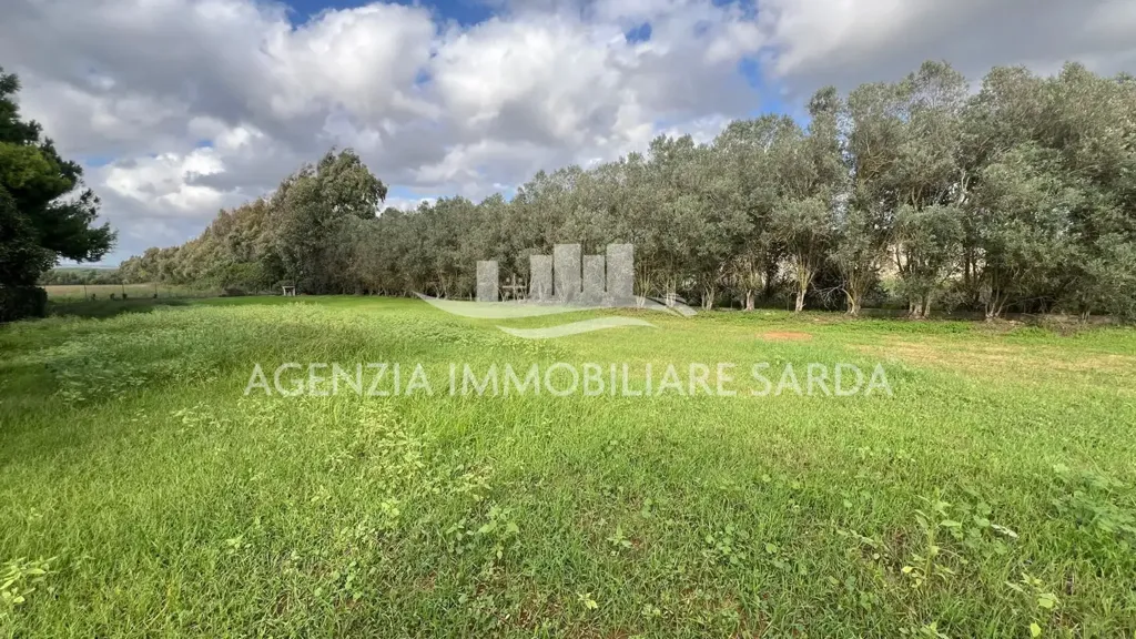 Jardin - Villa with Seafront Potential in Alghero