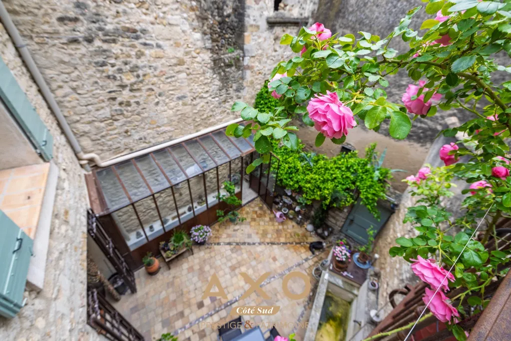 Aed - Provençal Townhouse with Courtyard in Cucuron