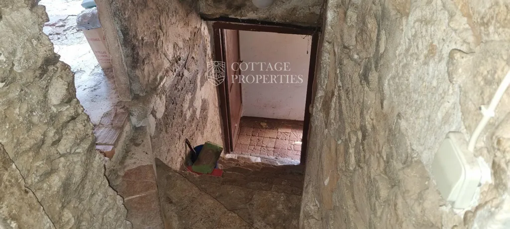 Toad - Historic Farmhouse with Renovation Potential in Serinyà