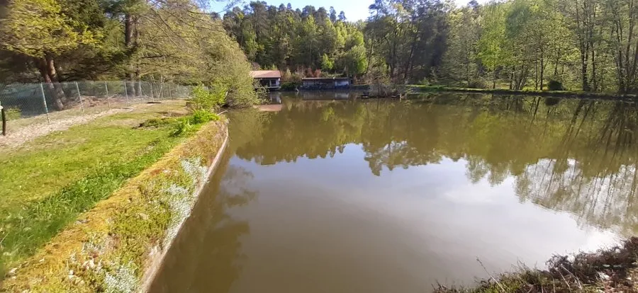 Jardin - Terrain avec Étangs Vidangeables et Maison à Épinal