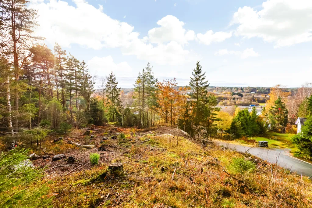 Jardin - Plot with Building Opportunity in Landvetter