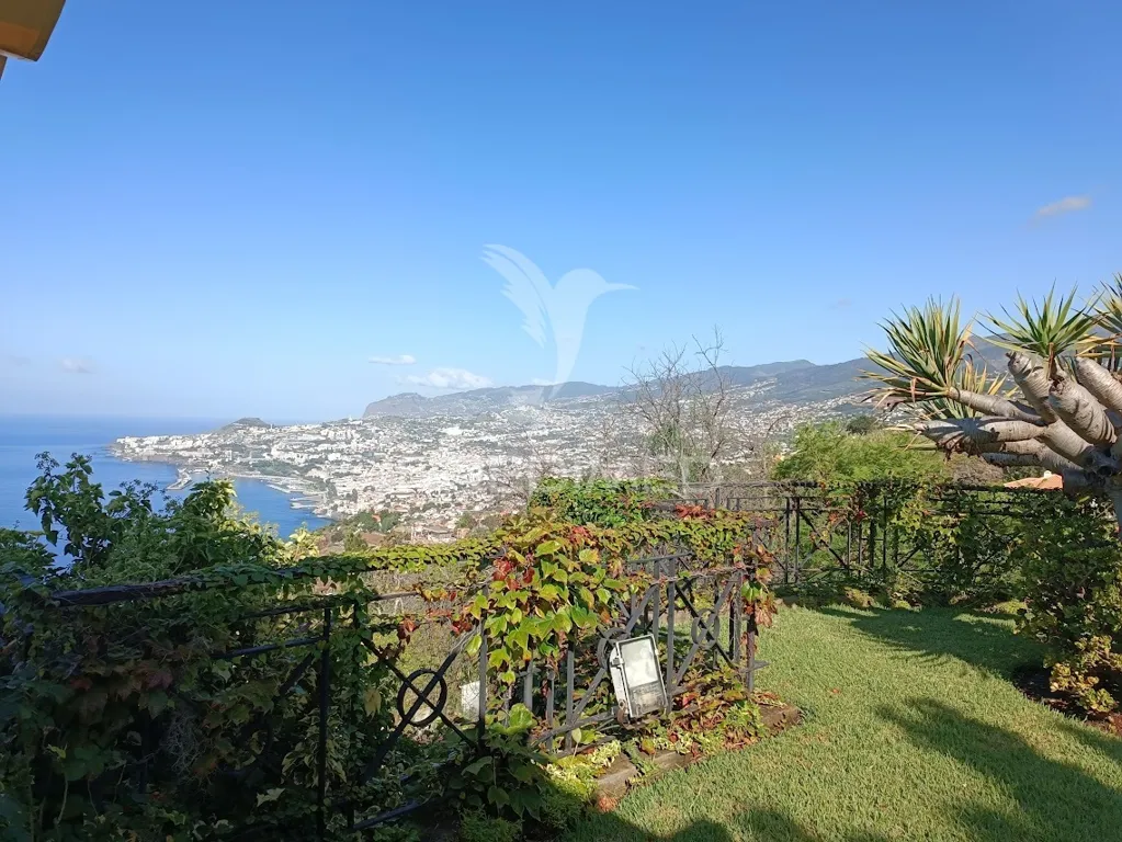 Aed - Luxury Villa with City View in Funchal